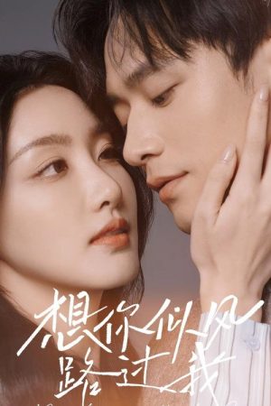 想你似风路过我 (2025) poster