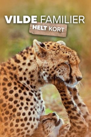 Vilde familier – helt kort (2026) poster