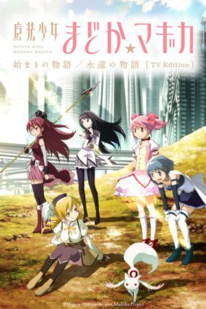 魔法少女まどか☆マギカ 始まりの物語／永遠の物語 TV Edition (2025) poster