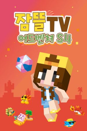 잠뜰tv 어드벤처 (2021) poster