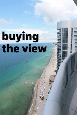 Buying the View (2016) poster