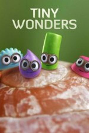 Tiny Wonders (2020) poster