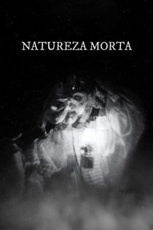 Still Life (2024) poster