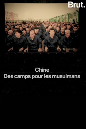 chine——des camps pour les musulmans (2019) poster