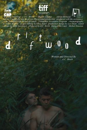 Driftwood (2026) poster