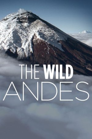 The Wild Andes (2018) poster