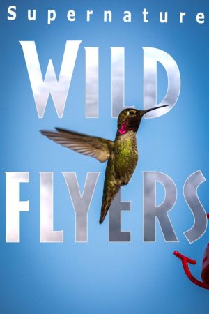 SuperNature – Wild Flyers (2016) poster