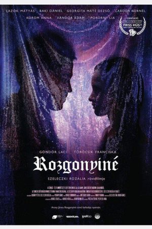 Rozgonyiné (2019) poster
