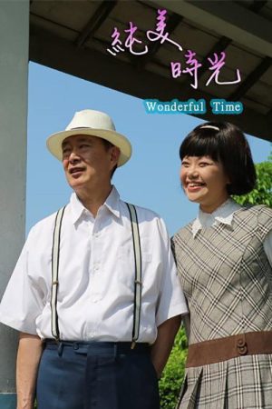 纯美时光 (2016) poster