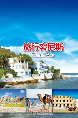 旅行突尼斯 (2018) poster