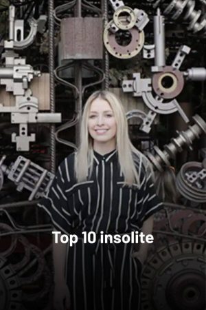 Top 10 insolite (2019) poster