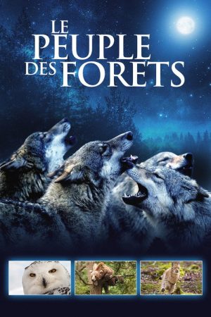 Le Peuple des forêts (2016) poster