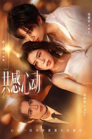 共感心动 (2026) poster