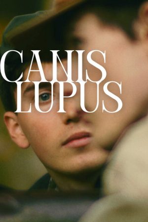 Canis Lupus (2025) poster