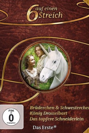 6 auf einen Streich (2008) poster
