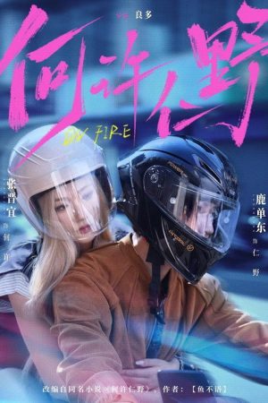 何许仁野 (2026) poster