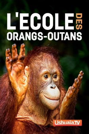 L’ecole des orangs-outans (2019) poster