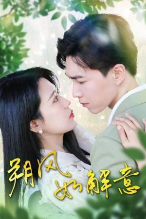 朔风如解意 (2025) poster