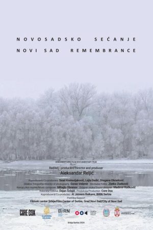 Novi Sad Remembrance (2024) poster