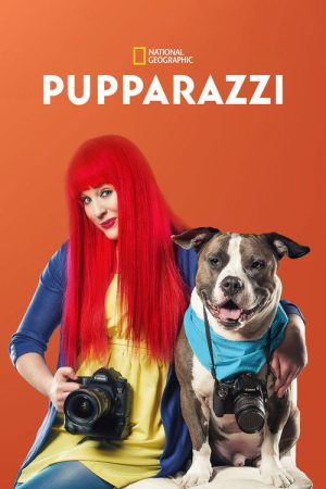 Pupparazzi (2018) poster