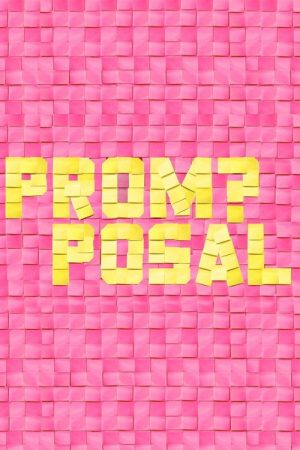 Promposal (2017) poster