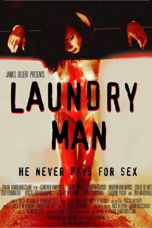 Laundry Man (2016) poster