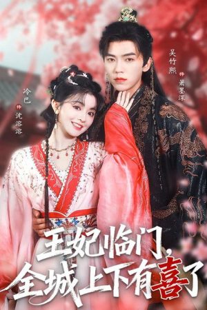 王妃临门，全城上下有喜了 (2026) poster