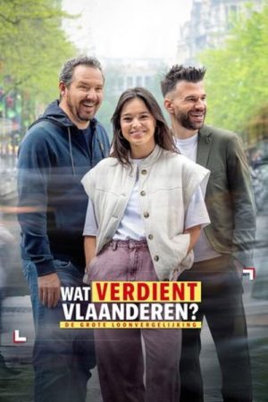 Wat verdient Vlaanderen? (2025) poster