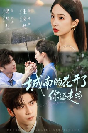 城南的花开了，你还走吗 (2025) poster