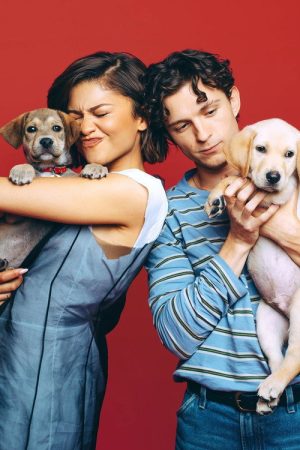 Celebs Play With Puppies & Kittens (2016) poster
