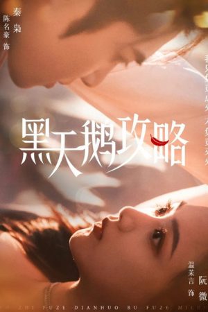 黑天鹅攻略 (2025) poster