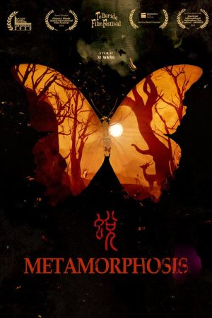 Metamorphosis (2020) poster