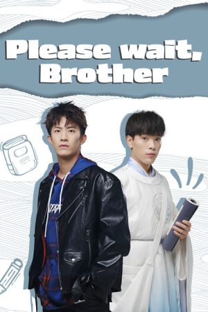 Please Wait, Brother (2020) poster