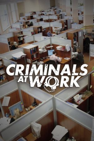 Criminals at Work (2016) poster