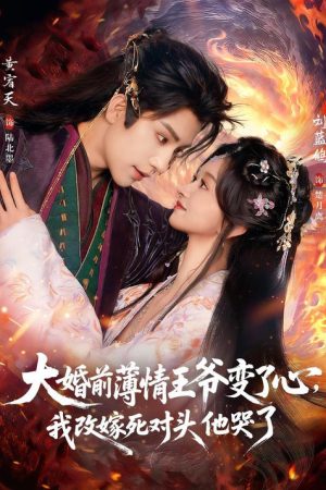 大婚前薄情王爷变了心，我改嫁死对头他哭了 (2026) poster