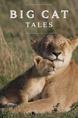 Big Cat Tales (2018) poster