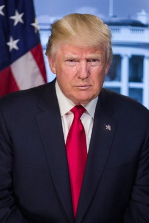 Det store Trumpshow (2020) poster
