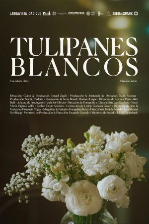 White tulips (2025) poster