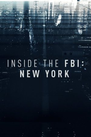 Inside the FBI: New York (2017) poster