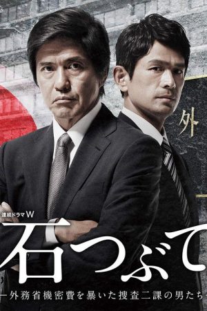 Throwing Stones: Cops Against the Government (2017) poster