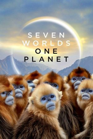 Seven Worlds, One Planet (2019) poster