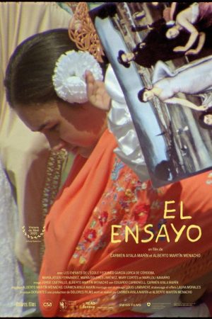 The Essay (2025) poster
