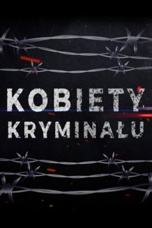 Kobiety Kryminału (2020) poster