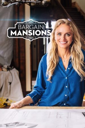 Bargain Mansions (2016) poster