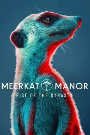 Meerkat Manor: Rise of the Dynasty (2021) poster