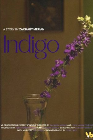 INDIGO (2026) poster
