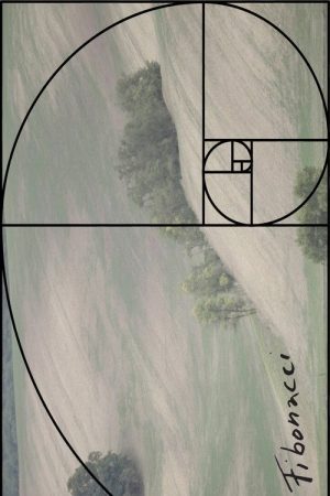 Fibonacci (2020) poster