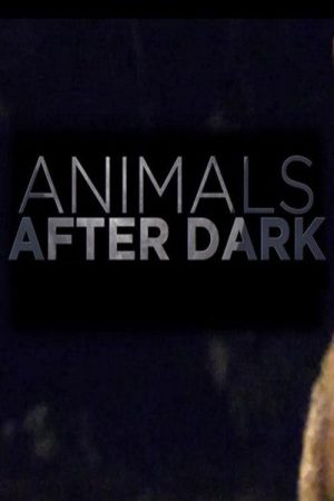 Animals After Dark (2019) poster