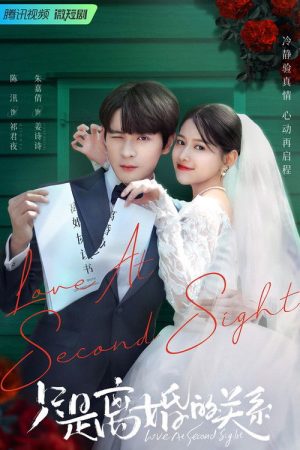 Crush on My Ex-Husband (2023) poster