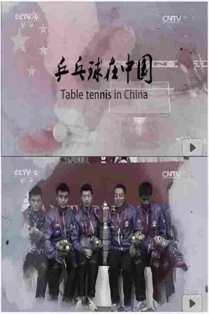 乒乓球在中国 (2016) poster